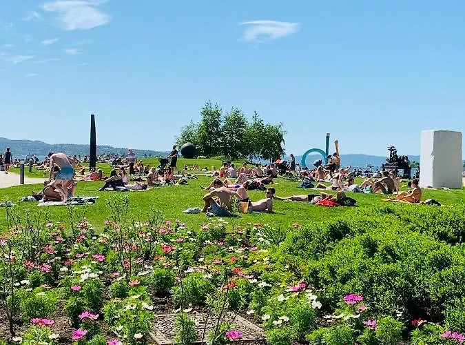 Budget Little With Window Centre Pansiyon